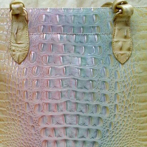 Brahmin Daybreak - Picture 3 of 4